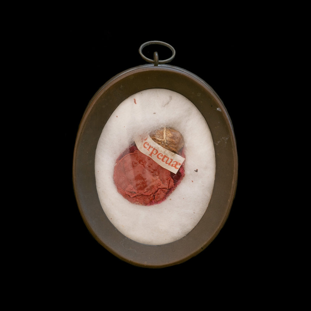 RELIQUARY, FIRST CLASS RELIC EX OSSIBUS OF SAINT PERPETUA - RELICS