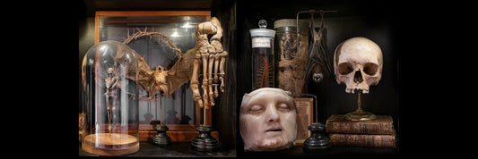 Exploring Oddities: A Fascinating World of Strange Collections-RELICS