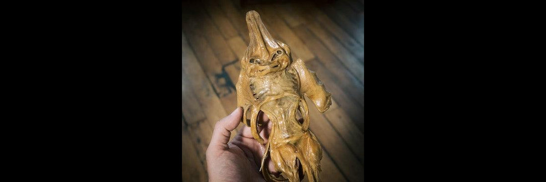 Jenny Haniver, créature des cabinets de curiosités-RELICS