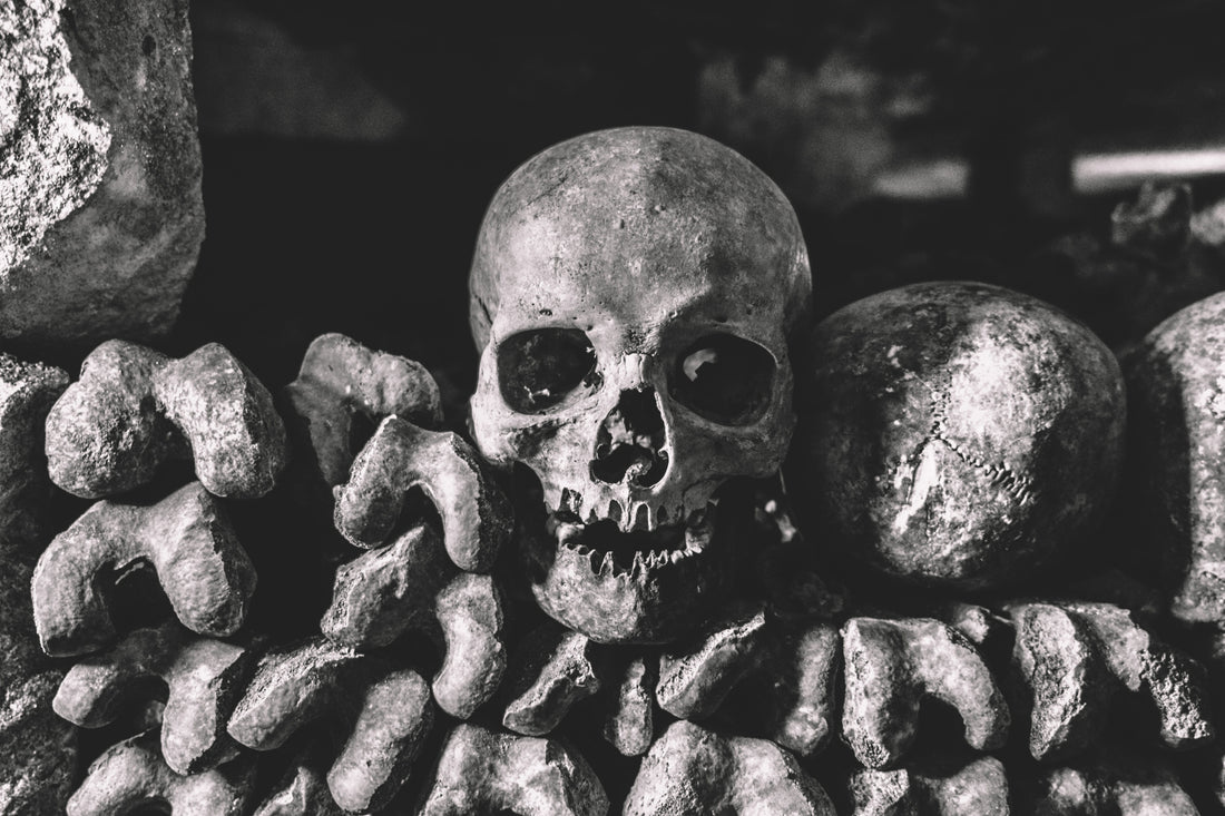 Les Mystérieuses Catacombes de Paris : Un Voyage dans les Profondeurs de l'Histoire-RELICS
