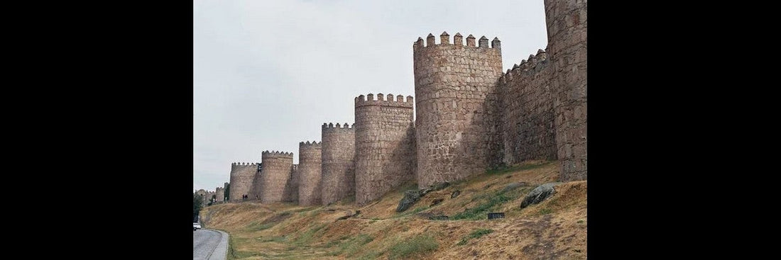 L'Ordre des Carmélites : Histoire, Spiritualité et Influence-RELICS