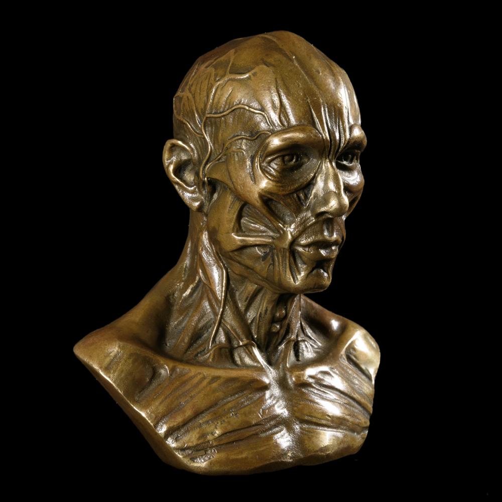 PETIT BUSTE D’ÉCORCHÉ MÉDICAL EN BRONZE - RELICS
