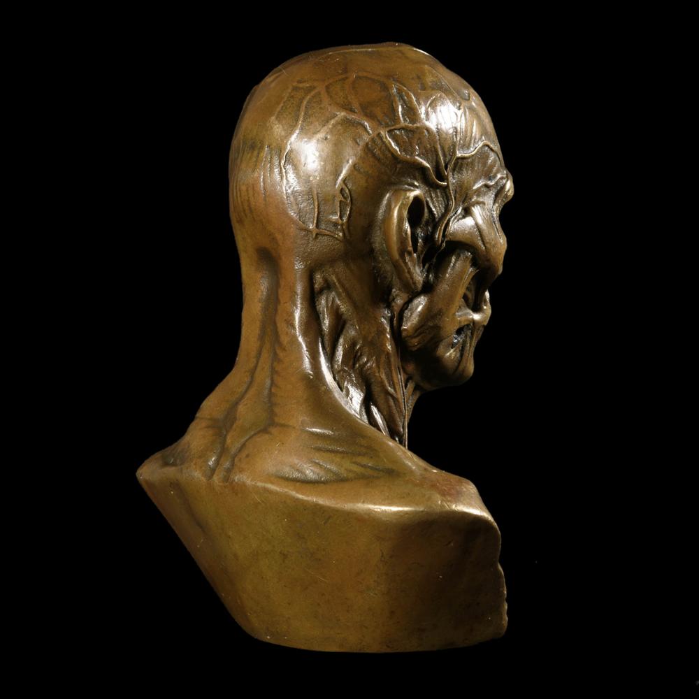 PETIT BUSTE D’ÉCORCHÉ MÉDICAL EN BRONZE - RELICS