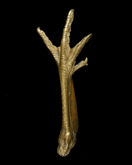 ROOSTER CLAW WITH FOLDING BLADE – 19TH CENTURY CURIOSITY - RELICS
