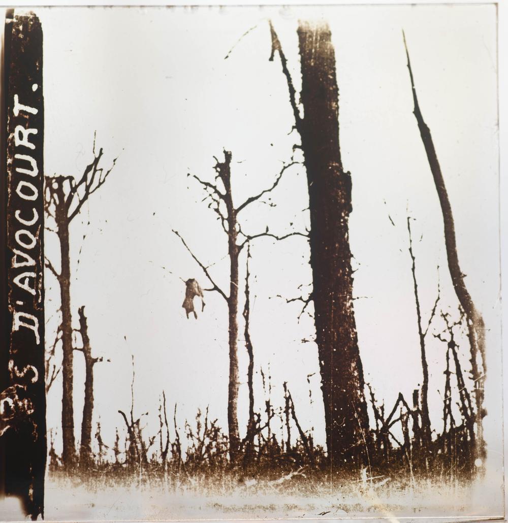 STÉRÉOSCOPE & 200 PLAQUES WW1 - RELICS