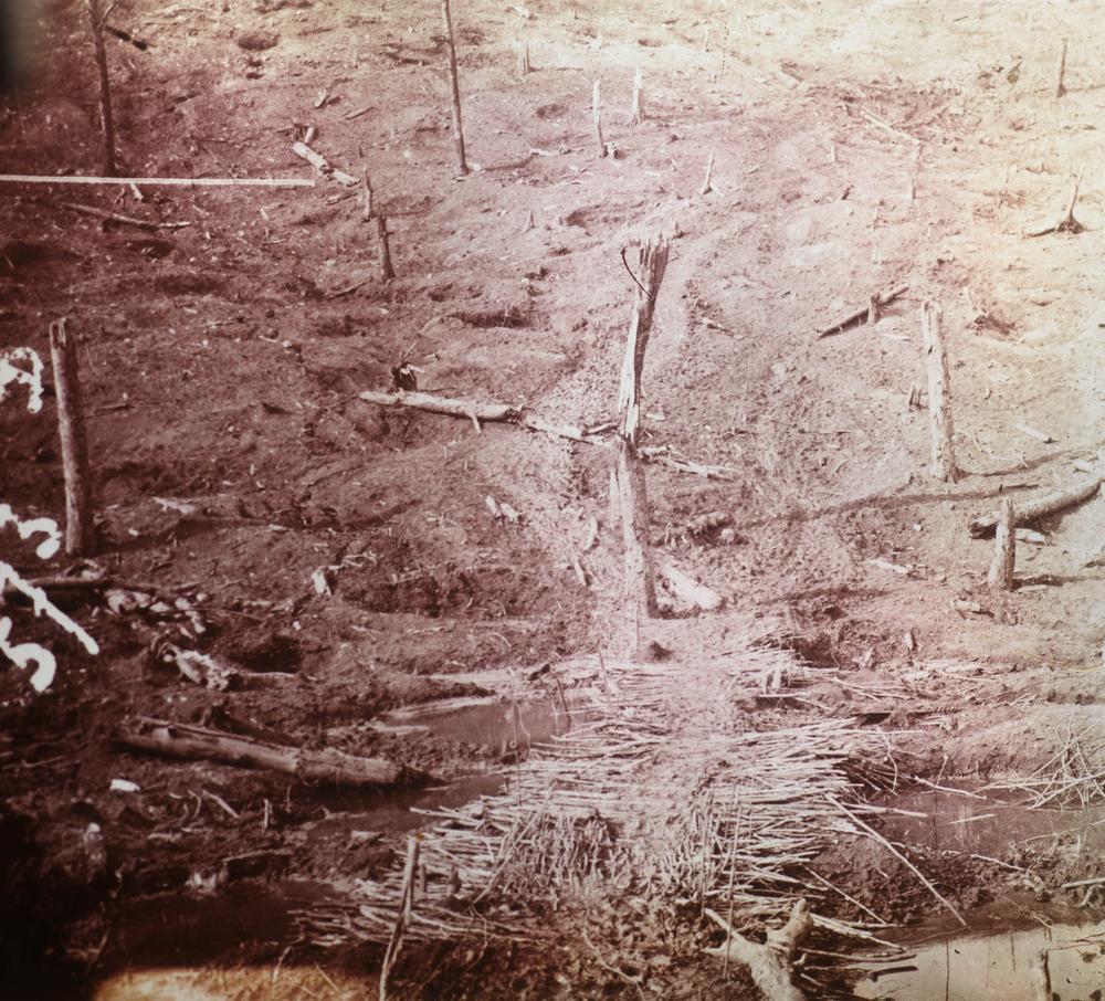 STÉRÉOSCOPE & 200 PLAQUES WW1 - RELICS