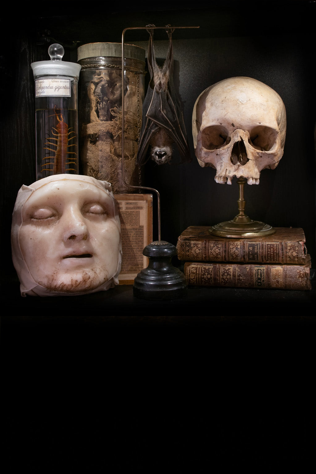 Curiosités et objets singuliers