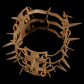 collier anti morsures - RELICS