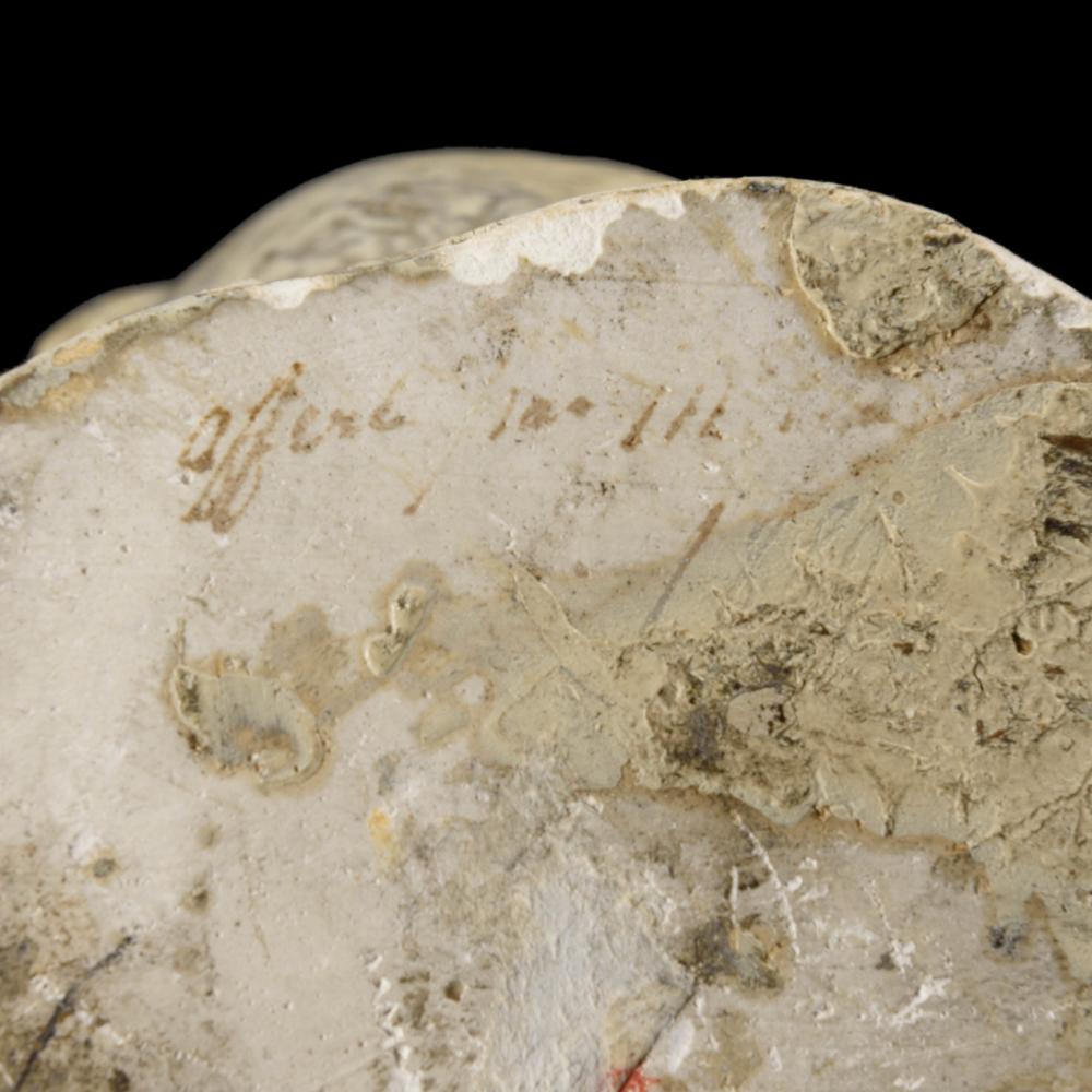 moulage foetus - RELICS