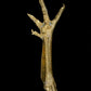 patte de coq bronze - RELICS