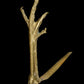 patte de coq bronze - RELICS