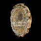 relique saint vincent ferrier - RELICS